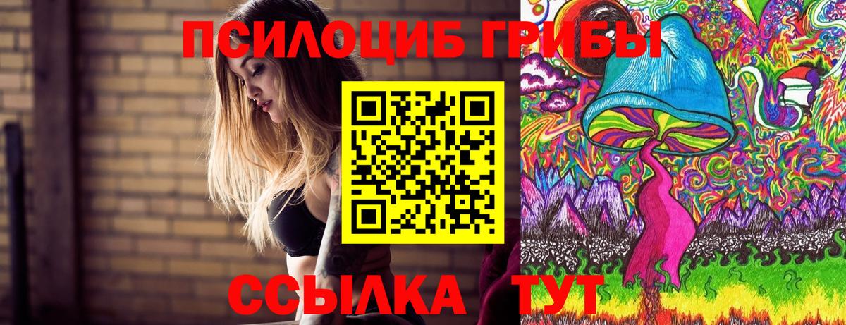 Псилоцибиновые грибы мухоморы  Вход с VPN  Баксан 
